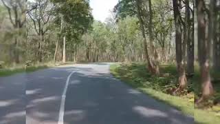preview picture of video 'Bandipur Forest |Mysore to wayanad| Bike ride'