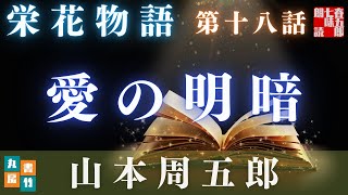 【土曜プレミアム　栄花物語／第十八話　愛の明暗／山本周五郎】　【作業・睡眠用朗読】　読み手七味春五郎　　発行元丸竹書房