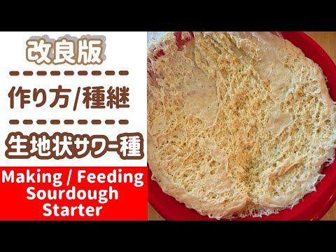 [Versión mejorada] Cómo hacer masa madre/semilla similar a una masa