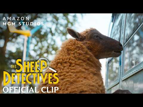 “I See Everything” Official Clip