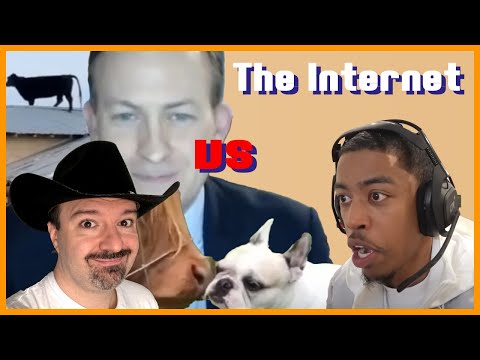 Funny Animals, BAD Net Connections + News Bloopers! DSP vs. The Internet Ep. 2: Feb. 24, 2023