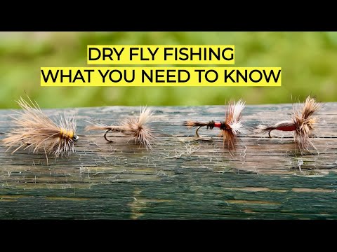 Dry Fly Fishing | What You Need To Know