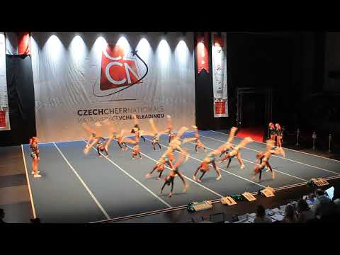 JNS TINYBIRDS - CZCN 2019