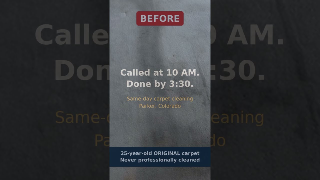 Before and after same-day carpet cleaning in Parker CO