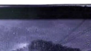 Cool breeze / Weeastpointin&#39;EASTPOINTS GREASTEST HIT