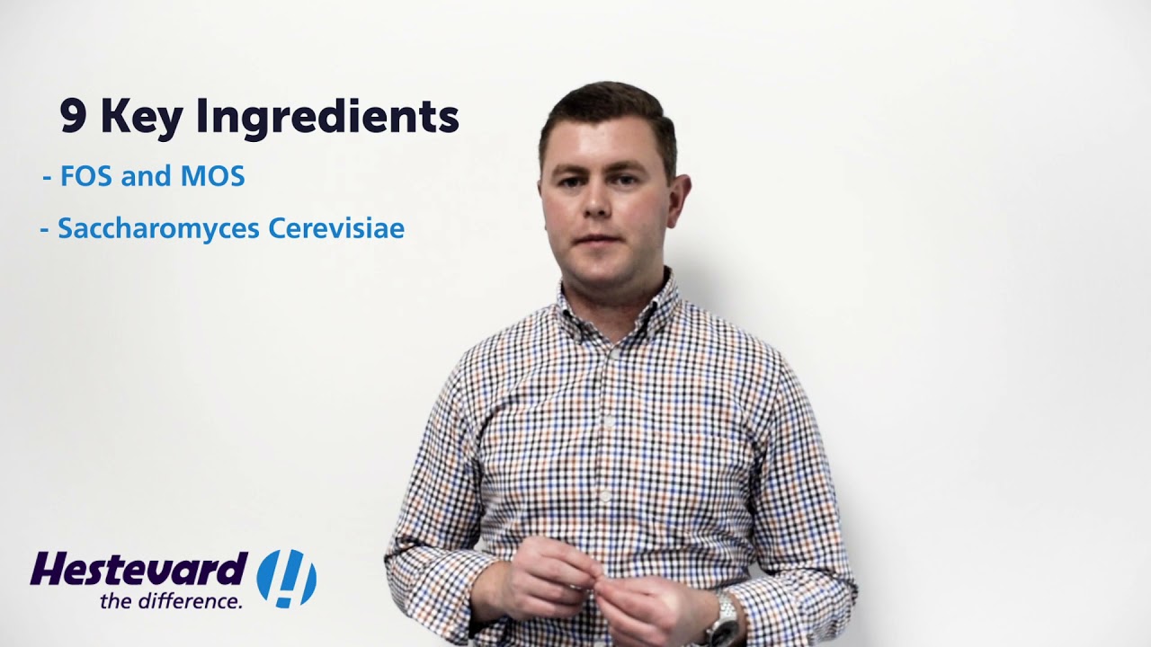 Hestevard Profix ADVANCED