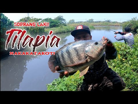 EP37 - Ang laki! TILAPIA SA DAM