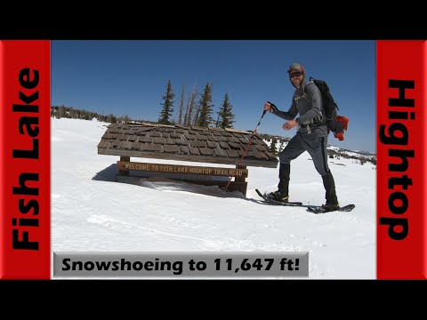 Snowshoeing Pelican Canyon to Fish Lake Hightop in DEEP Snow! | Hiking Utah
