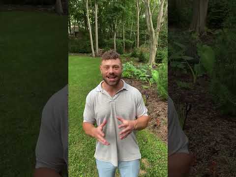 Don't Let Inflammatory Make You Dumb & Depressed