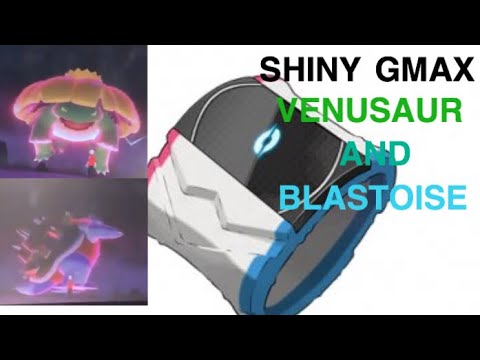 SHINY GMAX Venusaur and Blastoise