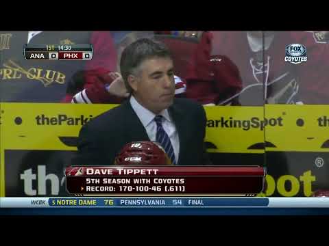 NHL   Nov.23/2013    Anaheim Ducks - Phoenix Coyotes