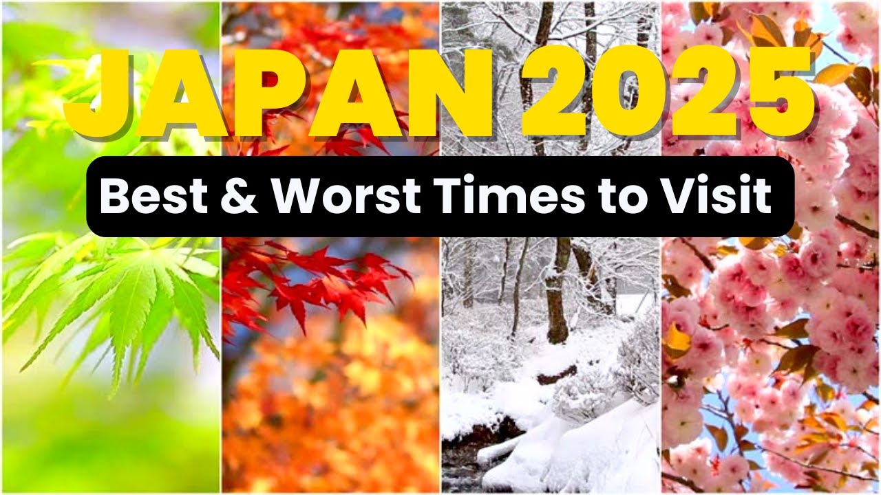 When to Visit Japan in 2025? Avoid These Crowded & Expensive Months!