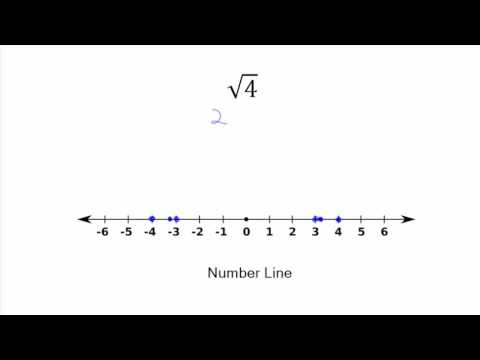 What is the Real Root?