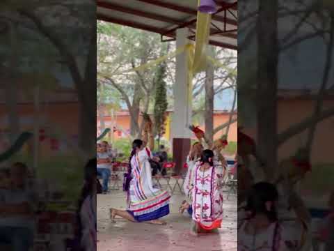 Flor de Piña - San Juan Bautista Tuxtepec - Oaxaca