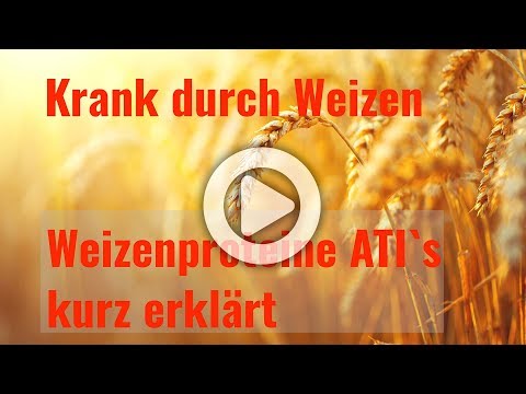 Krank durch Weizen - Symptome der Weizensensitivität - Weizenproteine ATIs kurz erklärt