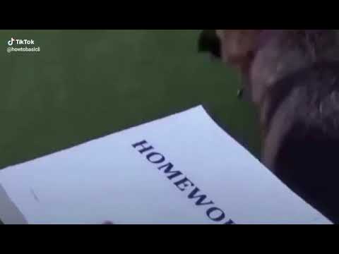 Jak masz za dużo zadań domowych