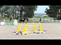 JHONNY DU THAR – Hongre SF – 7 ans – 1,73 m