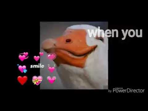 Cancion para dedicarsela a tu ser amado :v