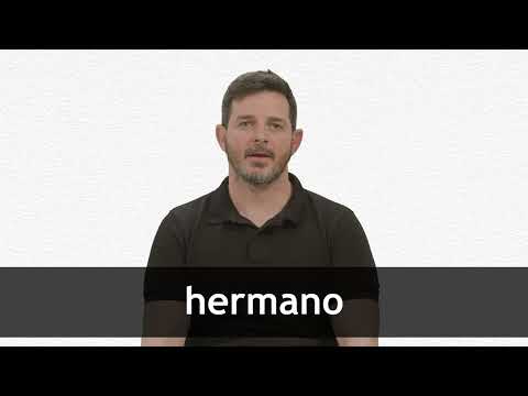 Hermanoi English Translation of “HERMANO” | Collins Spanish-English Dictionary