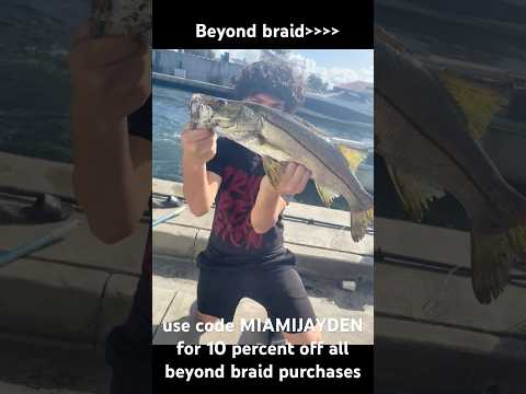 Best braid on the market #fishing #shortvideo #florida #shorts use the code link in bio👀#affiliate