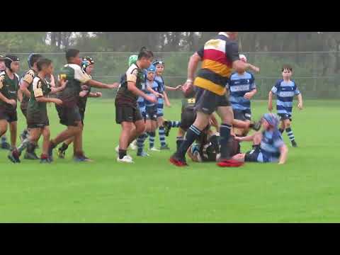 U10 Rugby Union - Western Raptors vs Mosman 2023