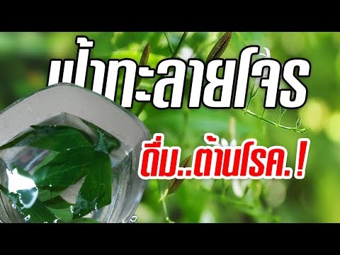 ทอร์นาโดเชื้อโรคมังกรที่จะซื้อ กว่าที่จะรักษาคนอ่อนแอ