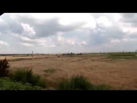 Ölfelder bei Videle 24.07.2014