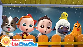 Download lagu Lia dan Hewan-hewan Berteduh dari Hujan | Lagu Hari Hujan☔ | Lagu Anak | LiaChaCha Bahasa Indonesia mp3