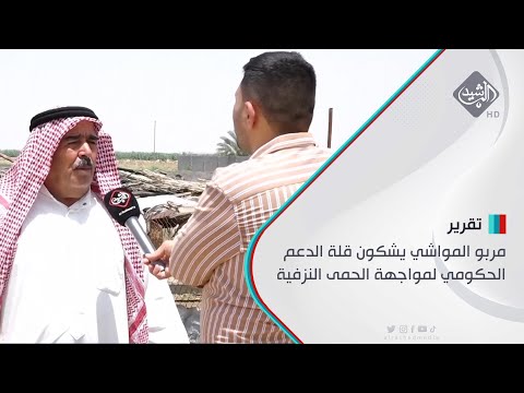 شاهد بالفيديو.. مربو المواشي يشكون قلة الدعم الحكومي لمواجهة الحمى النزفية