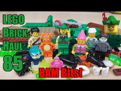 LEGO Brick Haul 85 - Brick Link 📦🏹