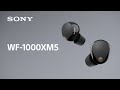 Sony Noise Cancelling Headphones WF 1000XM5 Product Video With Audio Description Official Video