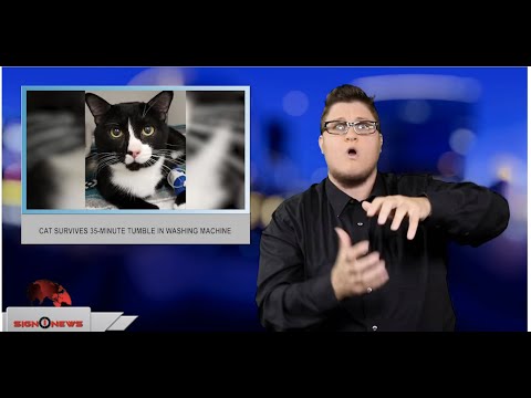 Cat survives 35-minute tumble in washing machine (ASL - 6.24.19)
