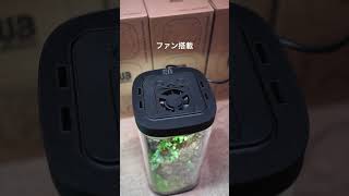 エアグラビティ200で湿潤テラリウム制作