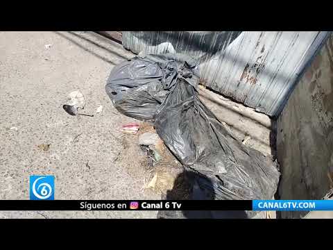 Video: Discurso de limpieza en Ixtapaluca contrasta con puntos saturados de basura