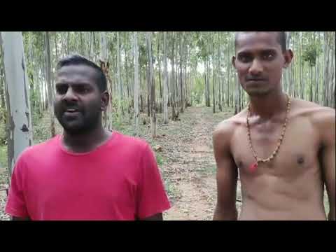 Adivilo Aata Arambam ( A A A )