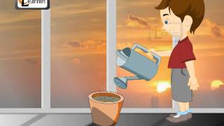 Germination of Seeds - Theory and Experiment - Science