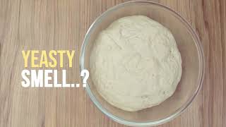 TOK Yeast | Social Media Ad | Meisterverse