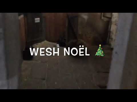 Clip de noël WESH NOËL / clara