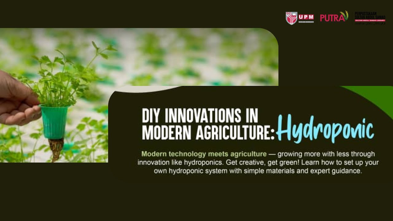 DIY Innovations in Modern Agriculture: Hydroponic
