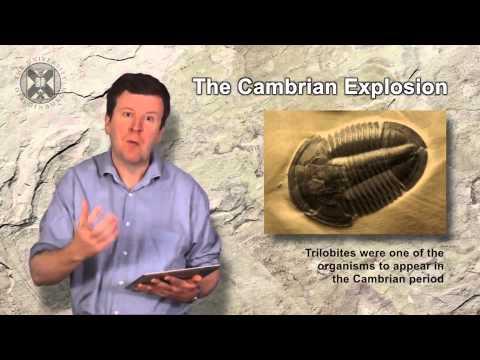 4.2. ASTROBIO - The Rise of Multicellularity