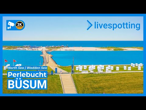 🔴 LIVE: Büsum Perlebucht – North Sea & Wadden Sea | Live Webcam in HD (Nordsee & Wattenmeer)