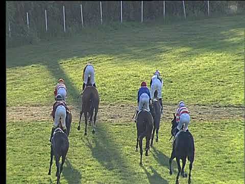 Galoppo 18/06/2019 - 6ª corsa