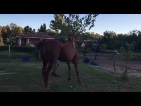 Dr Devious toujours en forme à l'âge de 27 ans !