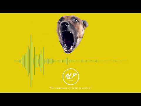SONIDO PERRO BRAVO LADRANDO  || EFECTO DE SONIDO || ALPsounds -- BARKING DOG