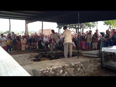 Aloha With Mom And Dad