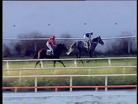 Galoppo 22/06/2018 - 5ª corsa - TRIS