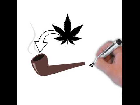 ¿Porro, pipa o bong?