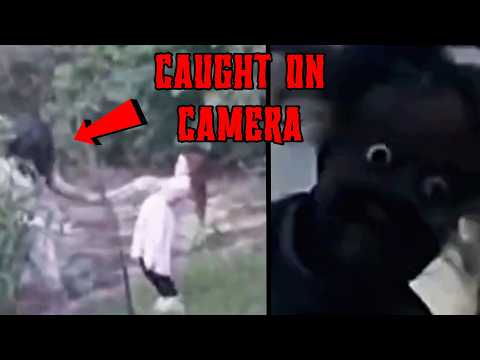 Skinwalker beim Gestaltwandeln vor der Kamera erwischt