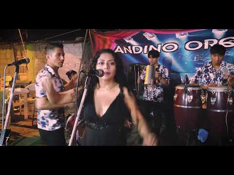 AHORA QUE ESTOY VIVO   -  ANDINO ORQUESTA |en vivo|