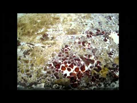 Phil Ross (US), Prix Forum 2013, TOTAL RECALL- The Evolution of Memory - EN